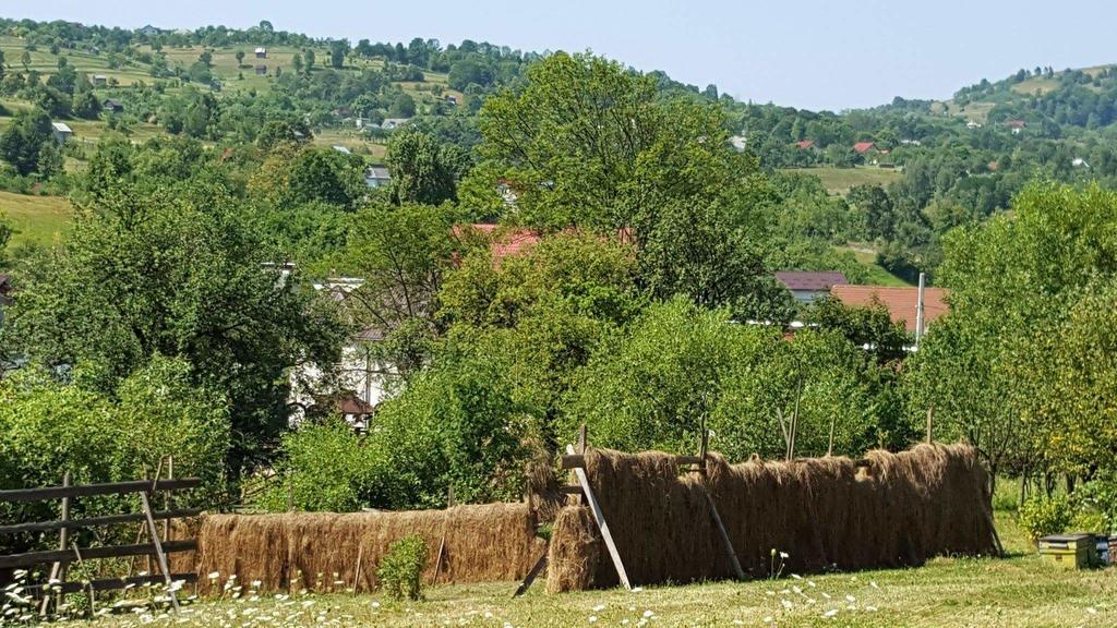 Pensiunea Simi Moisei Exteriör bild